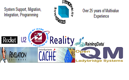 Multivalue Vendors
